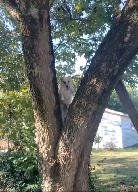 More pictures of Chief being unapologetically himself