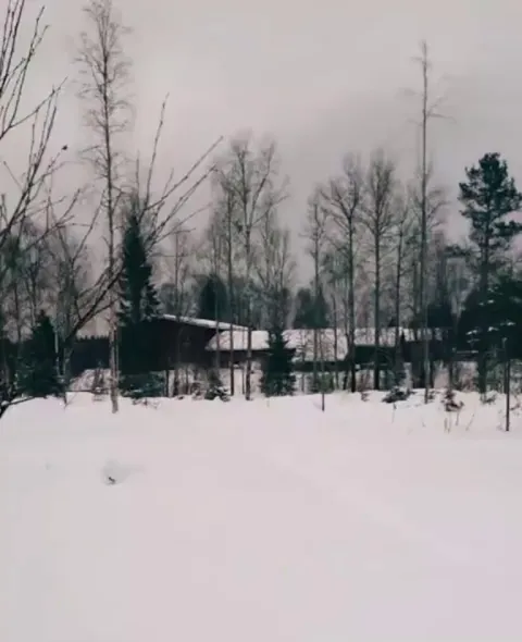 🔥 Beautiful Great Grey owl comes over to check out a lady’s cross country skis