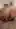 This is not my husbands dick.