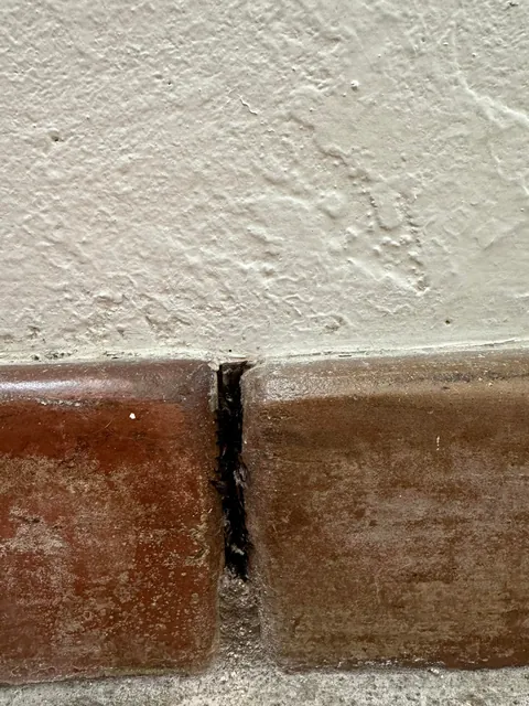 Mom found this crack in our house…