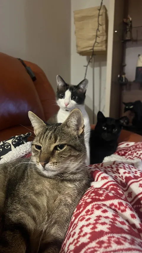 I’m being held hostage