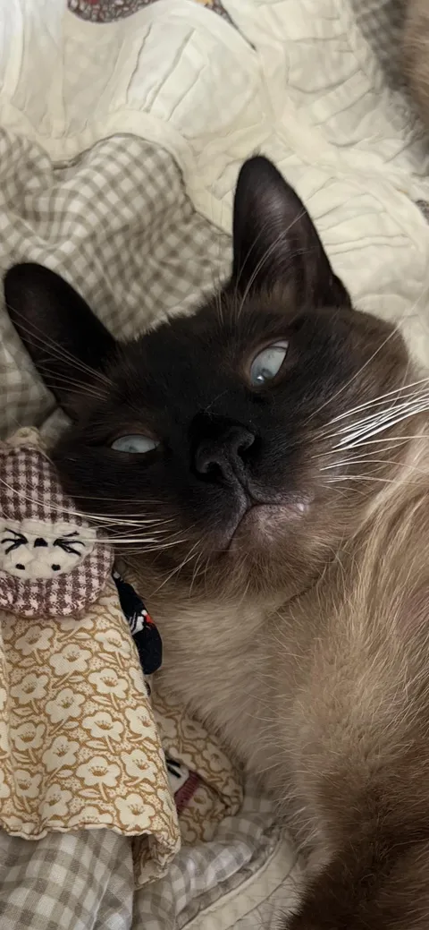 He’s normal, I swear.