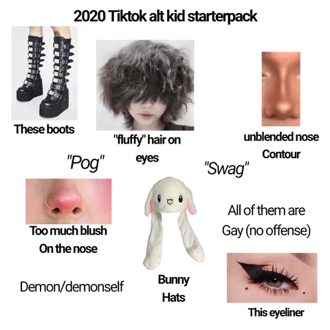 2020 Tiktok alt kid starterpack