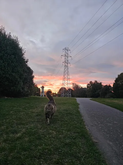 Met this kitty two days ago and we're already besties