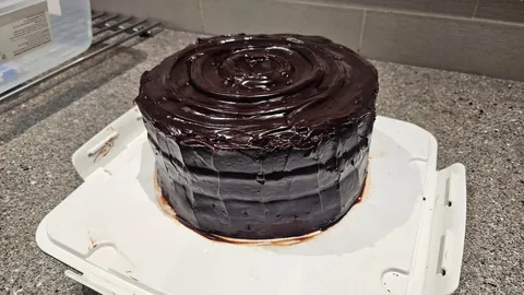 [Homemade] I Made A Fudgy Matilda Chocolate Cake