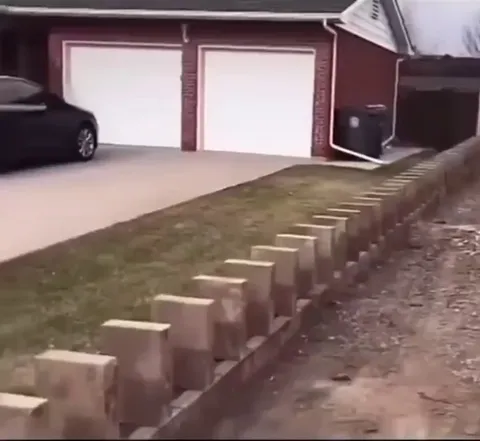 What is taking you so long? (Watch with sound)