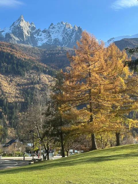 France.Chamonix-Mont-Blanc. Memories 🏔️