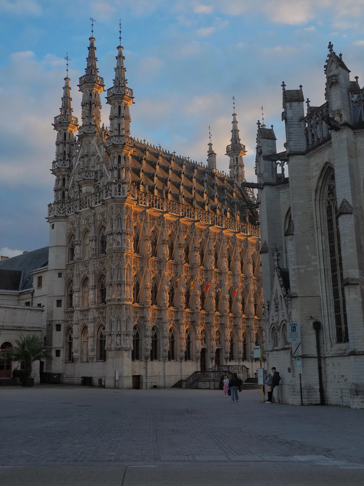 The Town Hall of Leuven during golden hour[OC]