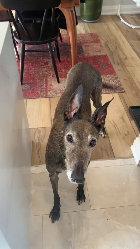 Fresh out of the bath