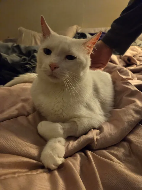 Goodbye my little man </3