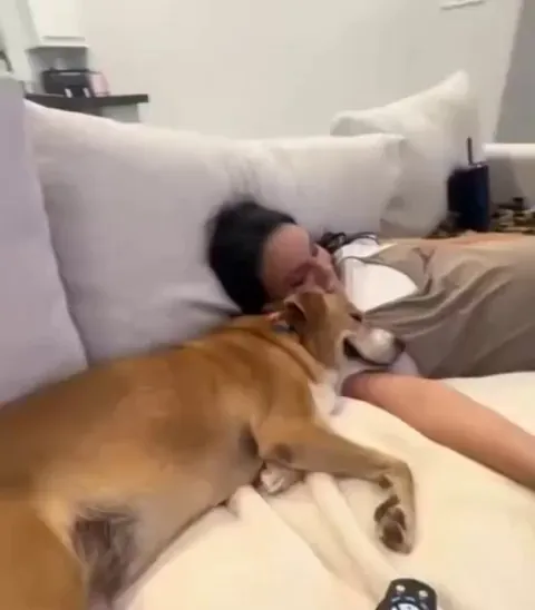 Sweet rescue dog couldn't contain his excitement when he realized he'd finally found his forever home