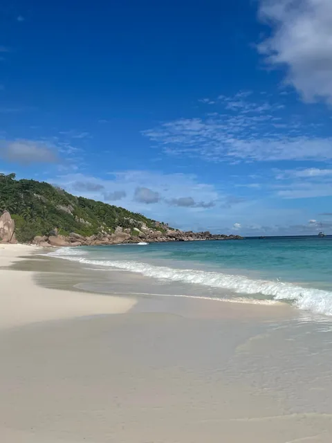 Seychelles - January 2025