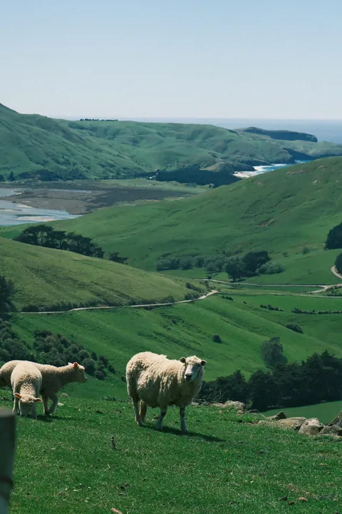 First days in New Zealand: The Catlins