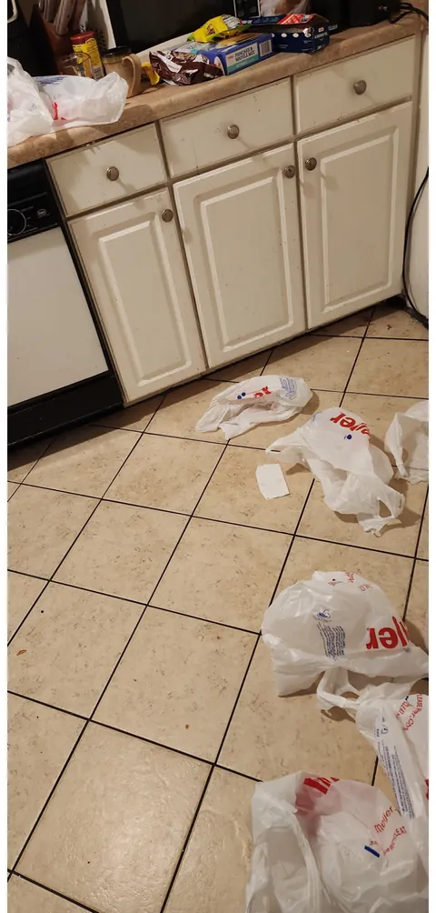 I asked my bf to put groceries away while I ran one last errand and I came back to this