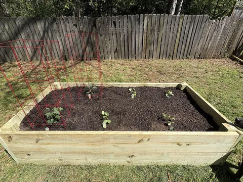 newbie here, just wanted to show off my first garden