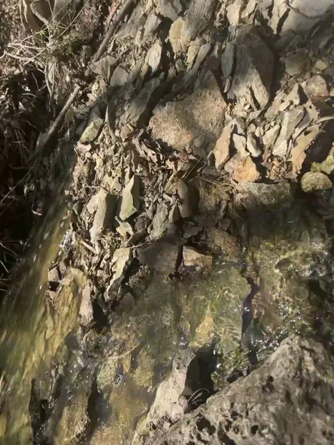 the sound of the creek behind my house!