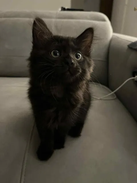 Help me name my new baby! I want something spooky, but something more unique than Luna or Salem! She’s a girl!