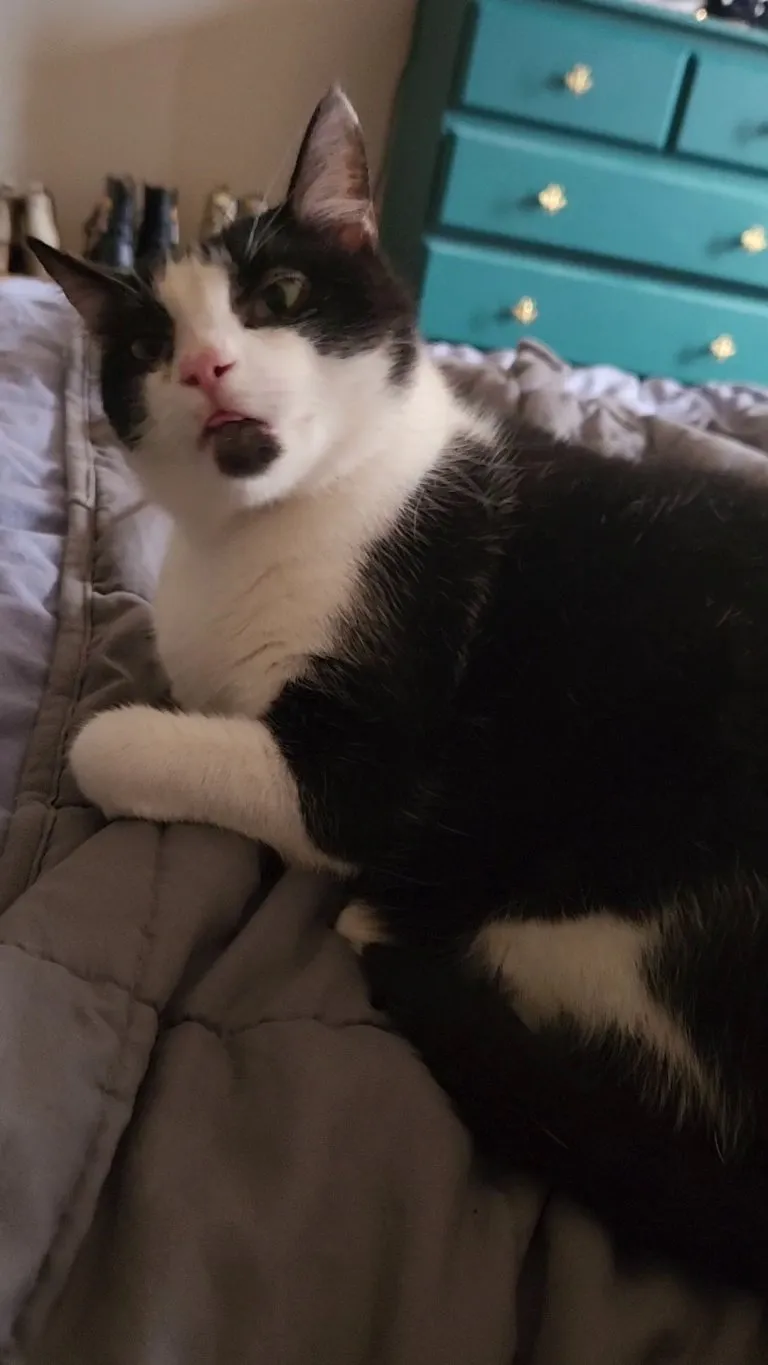 Tailbone scritches for my sweet dumb baby.