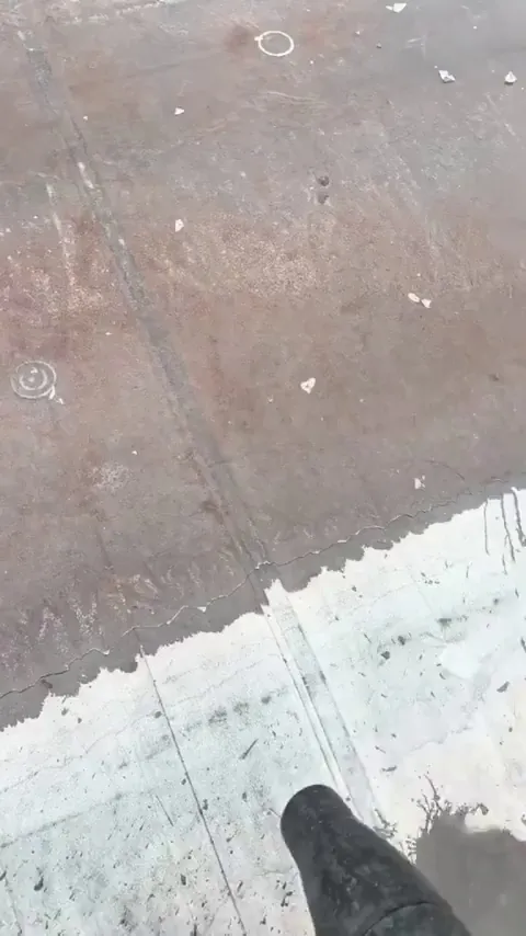 Leaf blowing ice 