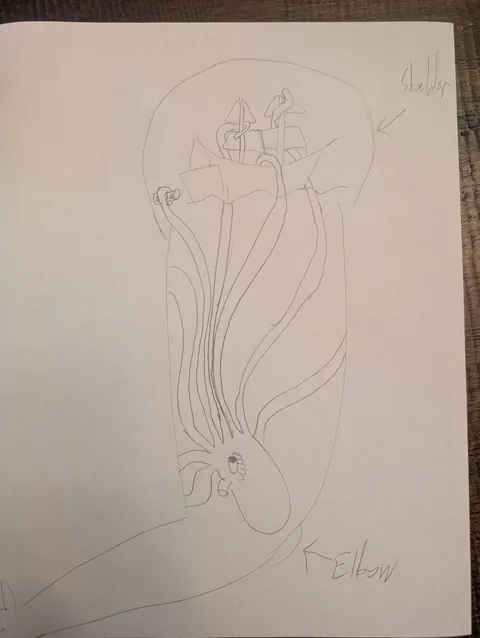 What I asked for vs What I got (Lauren Boles/Portland, Oregon)