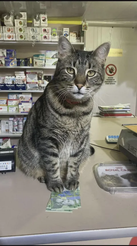 Your change sir(cashier)