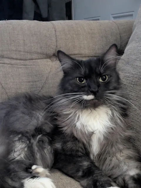 Just found out my sweet girl, whom I've had for a few months now, is a sweet boy.