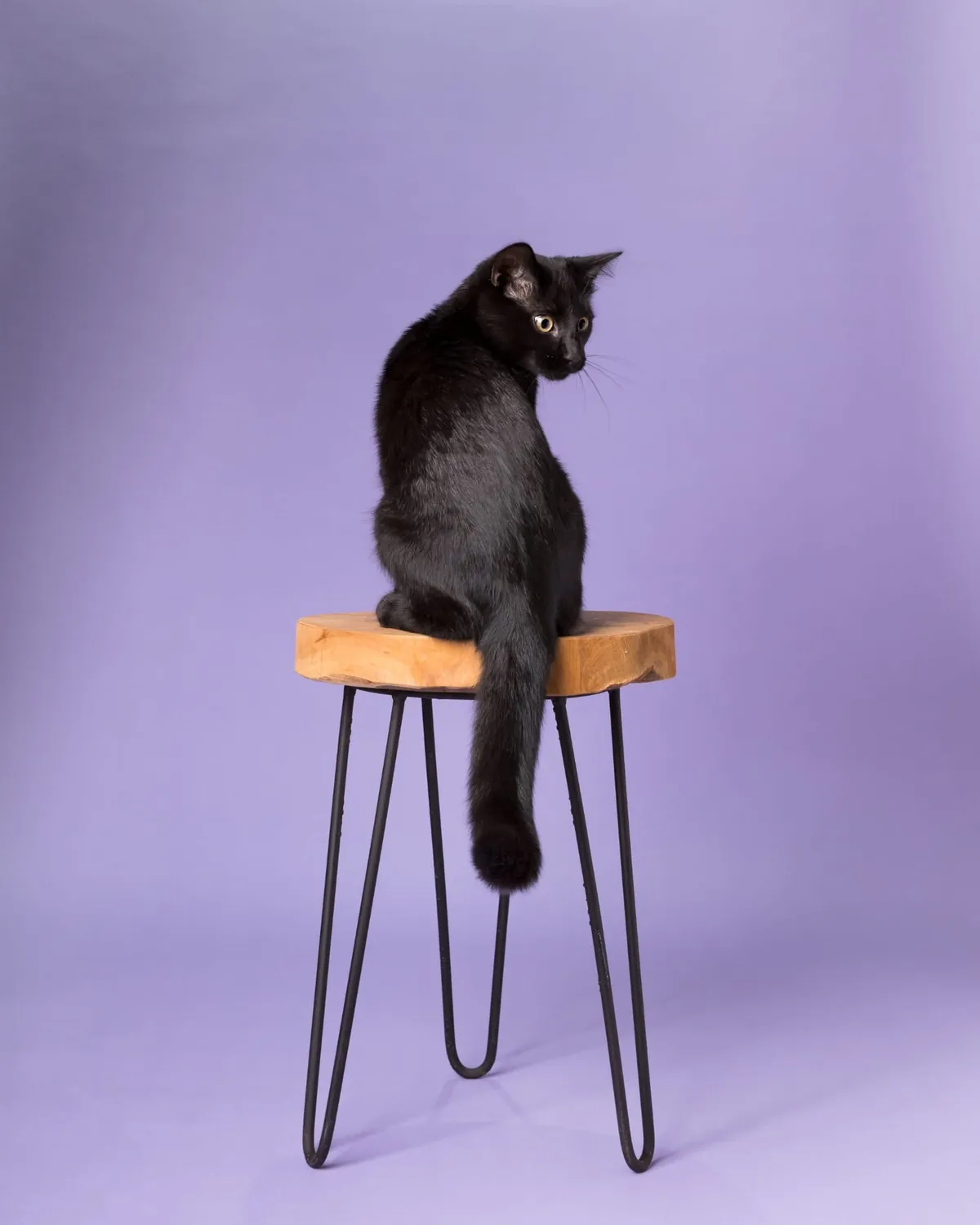 Look who's got a nice photoshoot