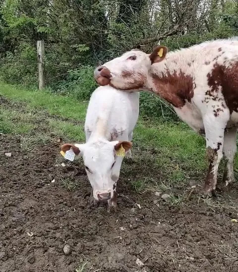 Kelly scratching her head off of her daughter’s back
