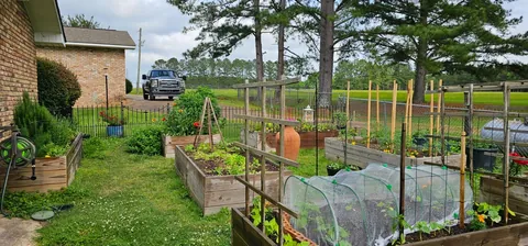 My Wife's Raised Bed Garden Over the Years