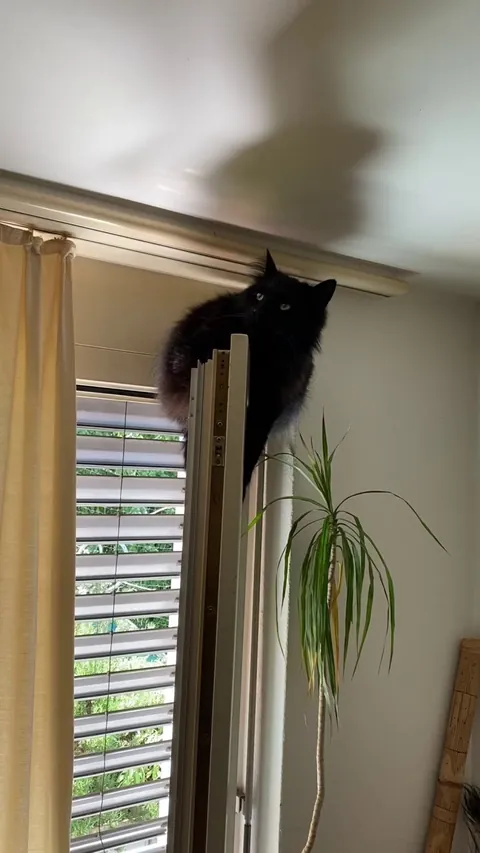 my lil boy loves hanging out there; I still wonder why