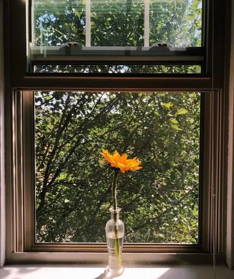 2019, my first apartment 🥹