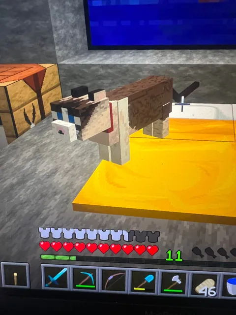 I did my cat in Minecraft !!!