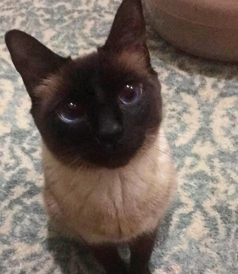 He’s the best boy and I tell him everyday