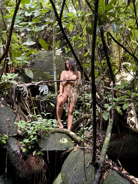 Deep in the rainforest