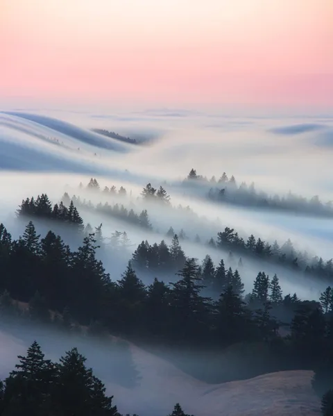 For Years I've Tried to Capture the Fog Rolling Through Mt Tamalpais. This Week, I Captured My Bucket List Shot. [OC][1799x1440] @nickfjord