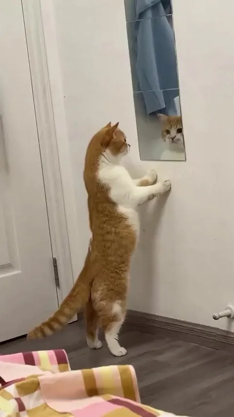 Self motivation speech