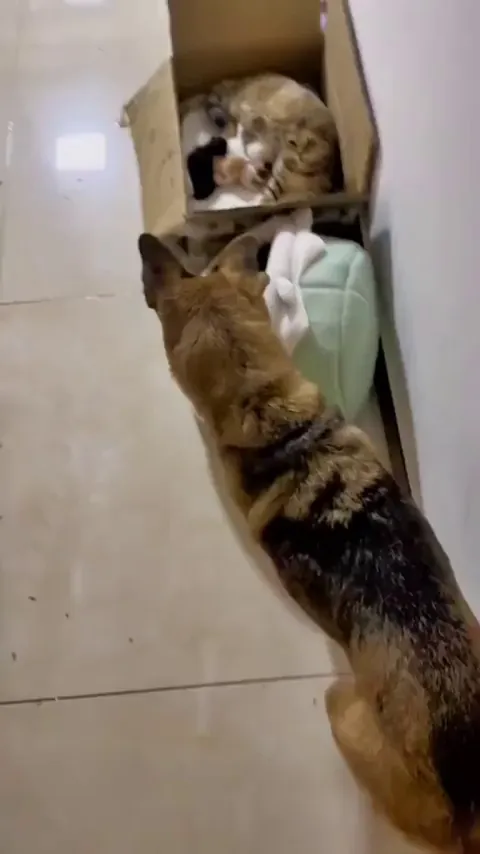 Same colour, this one must be mine 