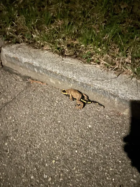 I think they’re a bit confused… 😅