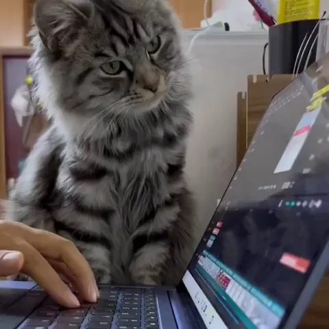 Car boss: No escaping today, Jenny. This job gets finished.