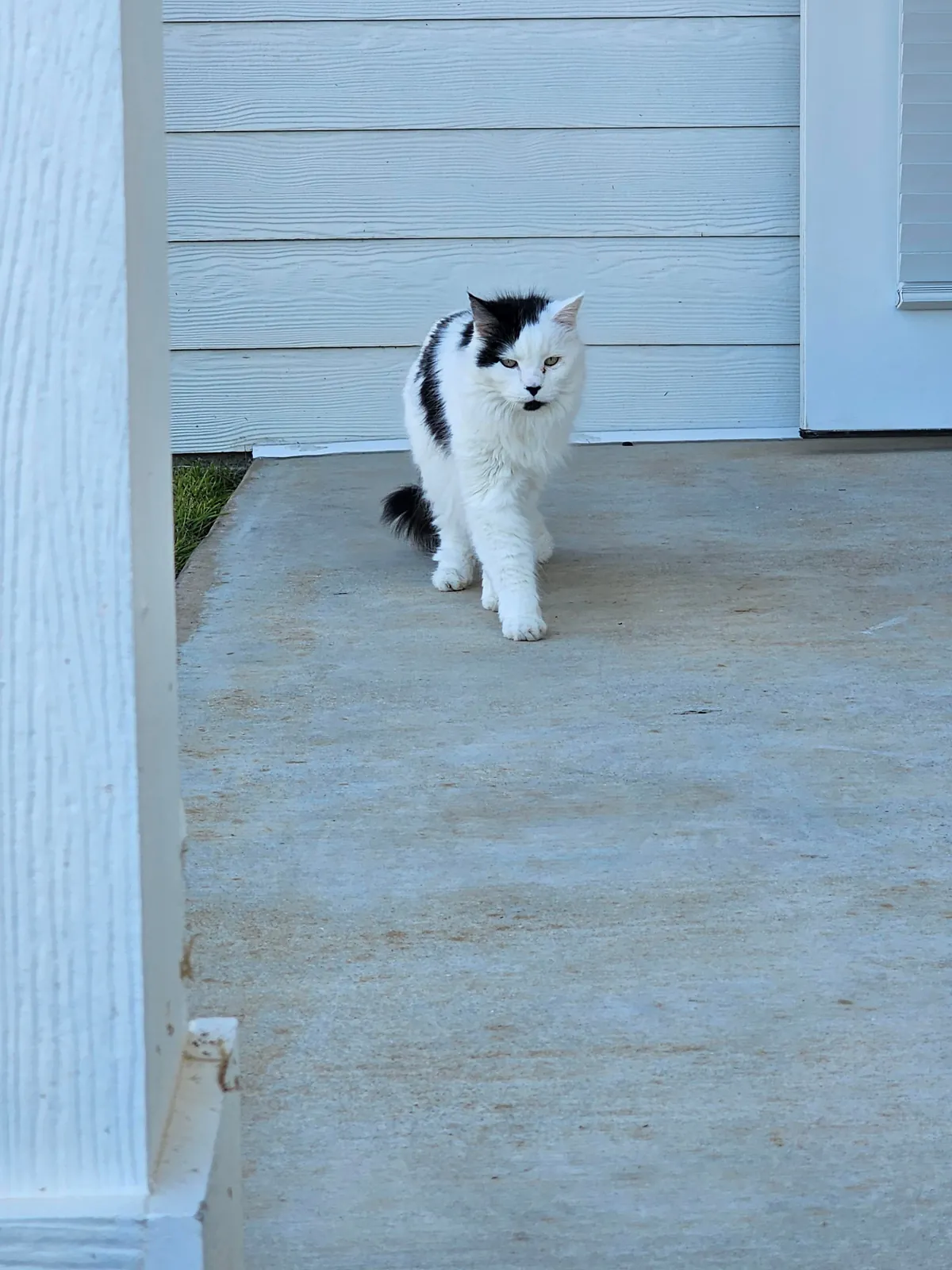 Tomorrow will be Bowies last day. Wish him happy birthday