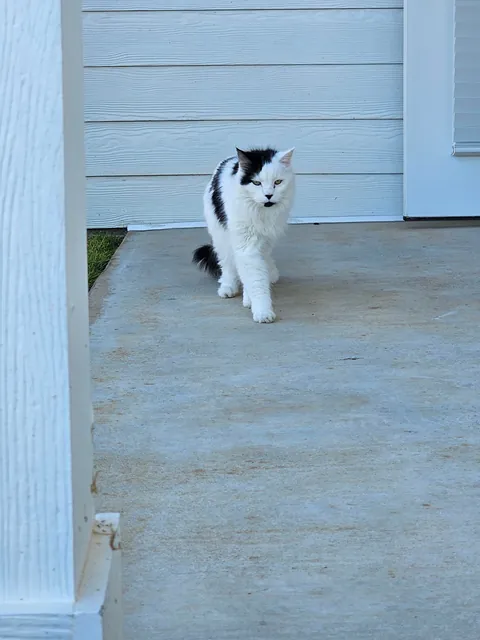 Tomorrow will be Bowies last day. Wish him happy birthday