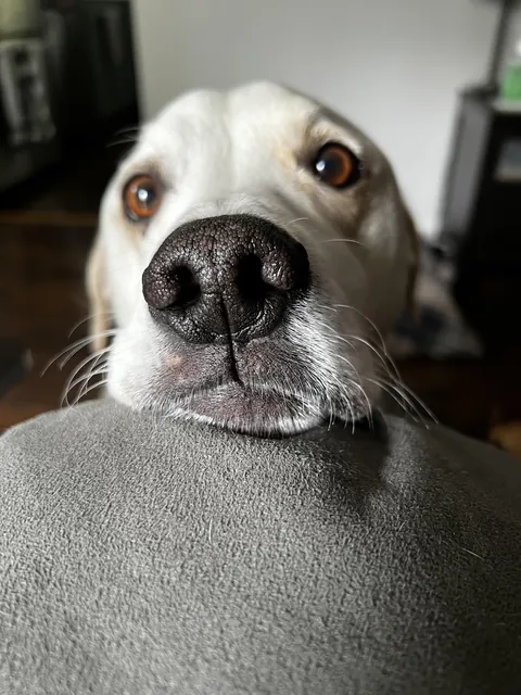 My handsome boy ❤️