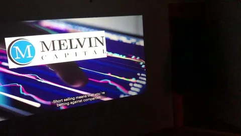 Hulu gme special, they cut off Jim Cramer to let a ten year old explain short selling, well done