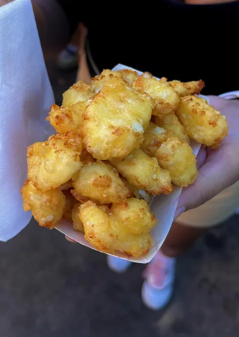 [i ate] cheese curds at the Minnesota State Fair