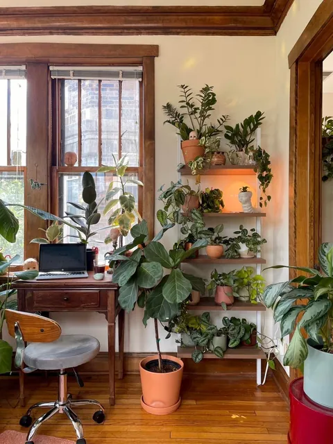 In love with our new Chicago sunroom! (OC)