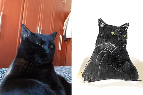 I’d love to draw your adorable kitty—anything is fine! Let’s have a fun day together!