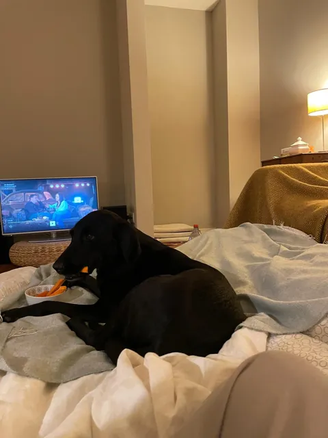 My sister hosted a sleepover with our dog