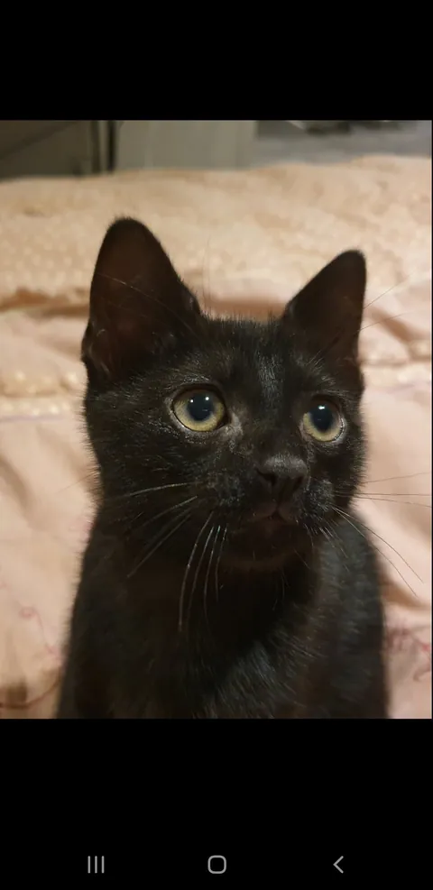 My mom thinks I grew up to have a big nose.