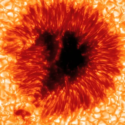 Boiling Sunspot (Credit: The Swedish 1-m Solar Telescope)