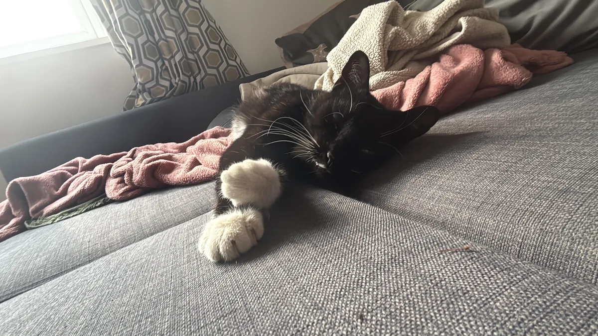 Broke in last night - Woke up to him sleeping beside me